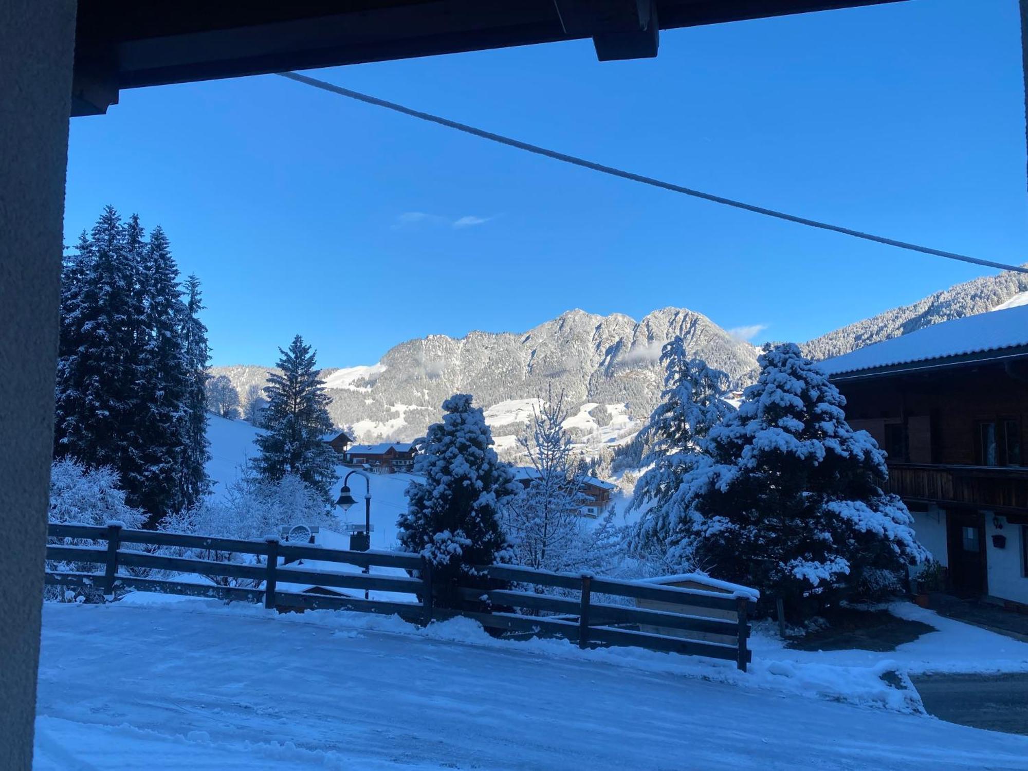 Appartement Haus Hislop à Alpbach Extérieur photo