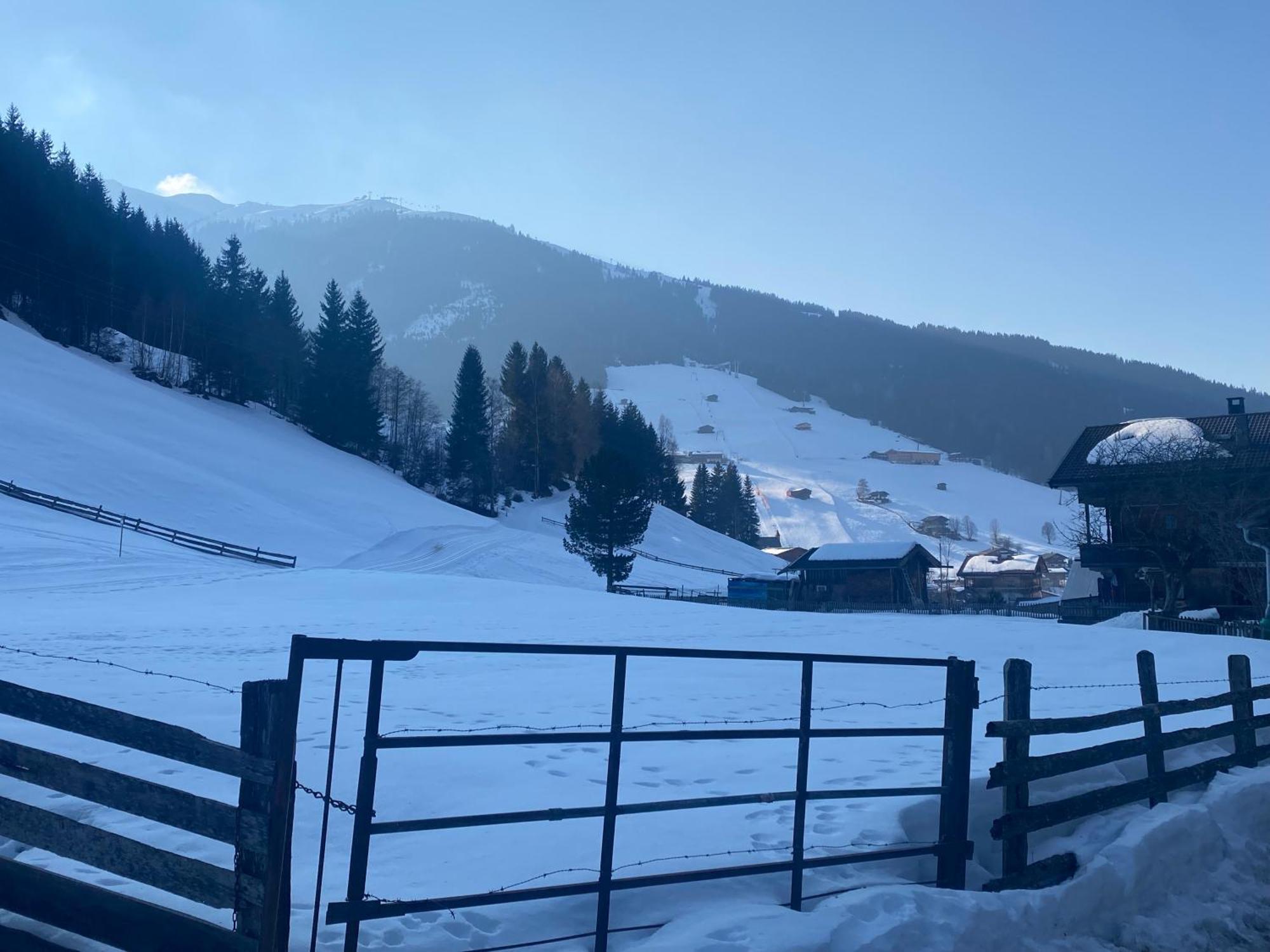 Appartement Haus Hislop à Alpbach Extérieur photo