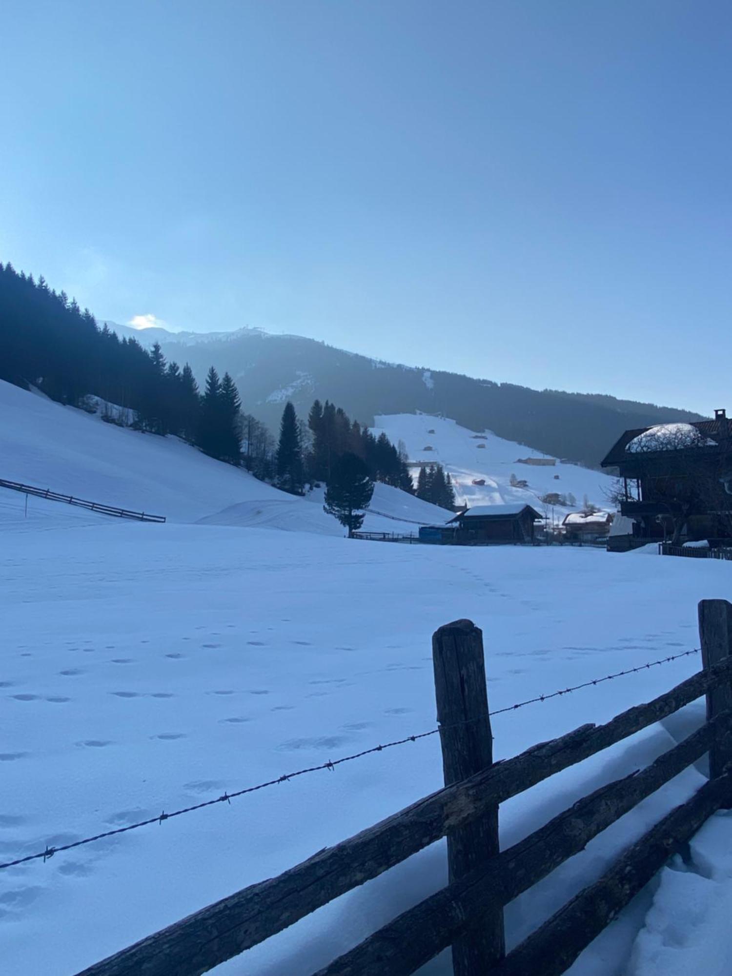 Appartement Haus Hislop à Alpbach Extérieur photo