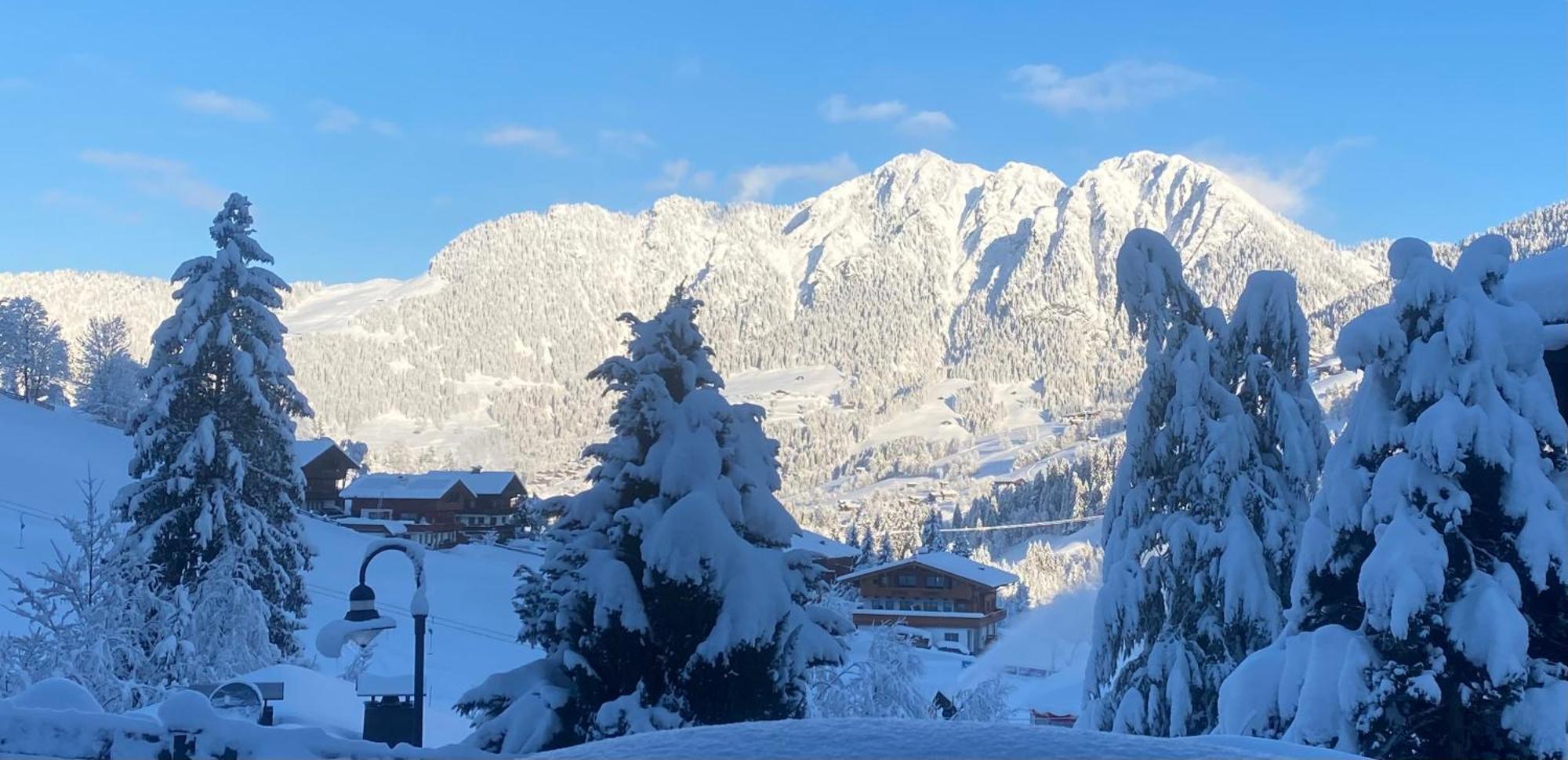 Appartement Haus Hislop à Alpbach Extérieur photo